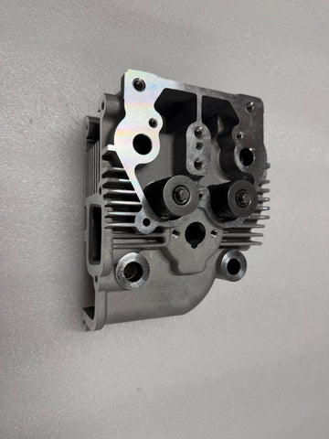 Zylinderkopf Baugruppe KOOP KD195