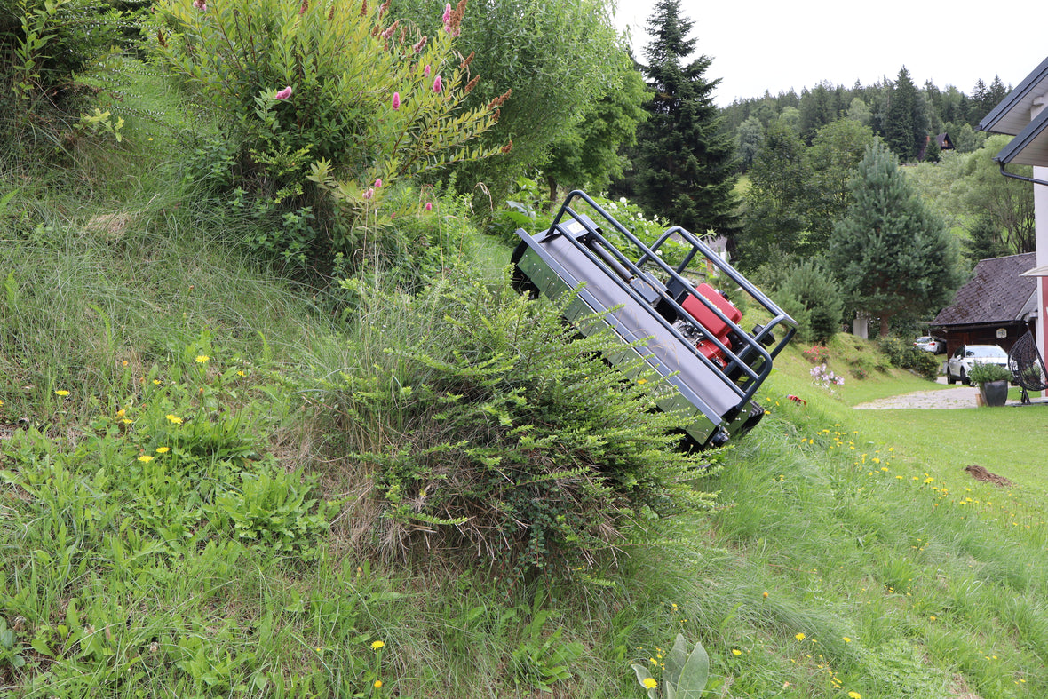 Strauch mit hochgrasmaeher